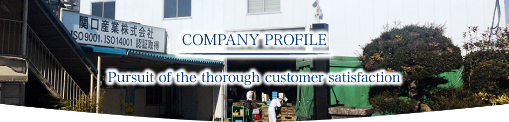 Company profile